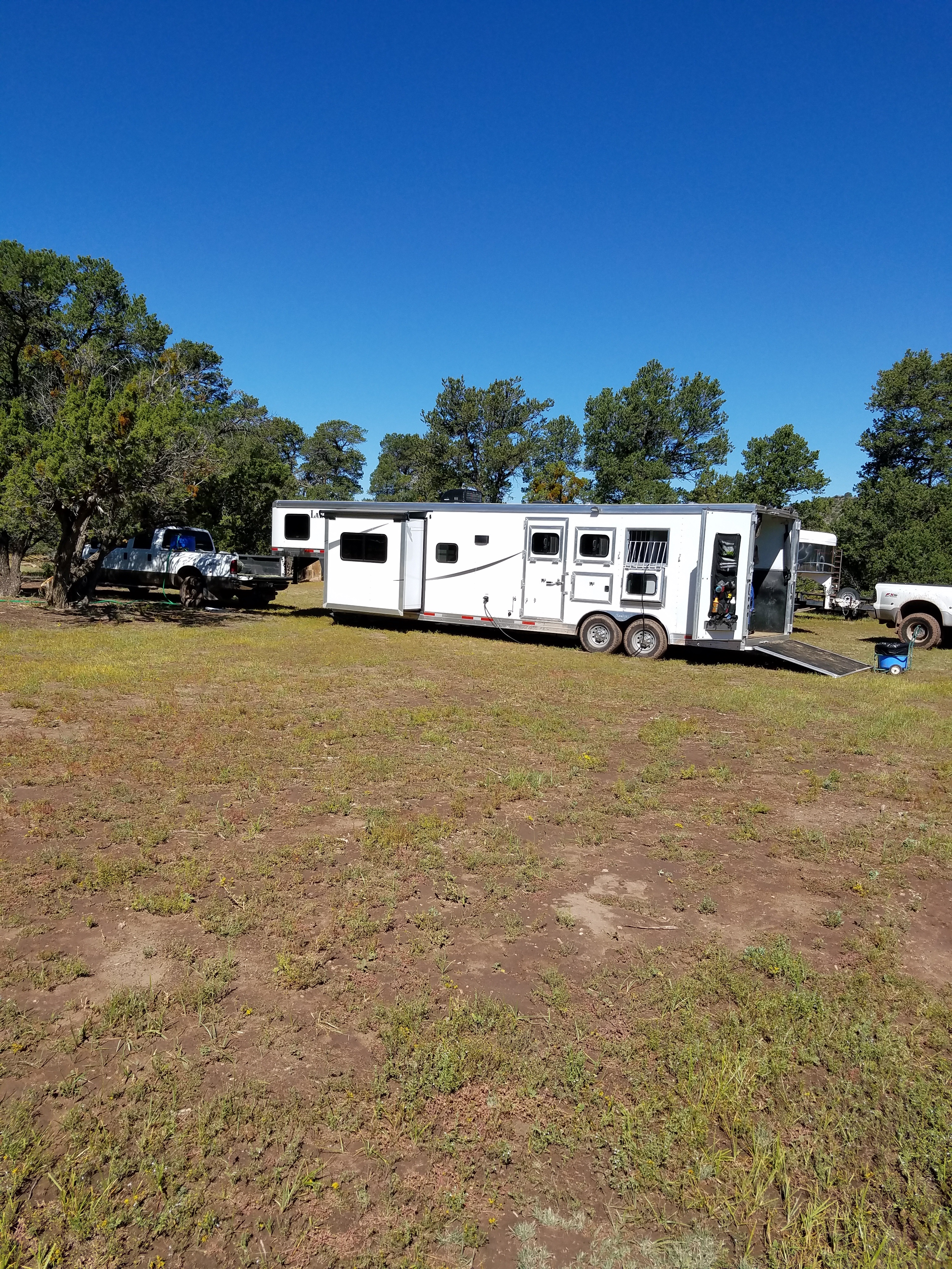 Apache Junction Horse Rescue